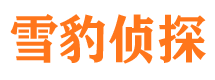 青岛市私家侦探公司